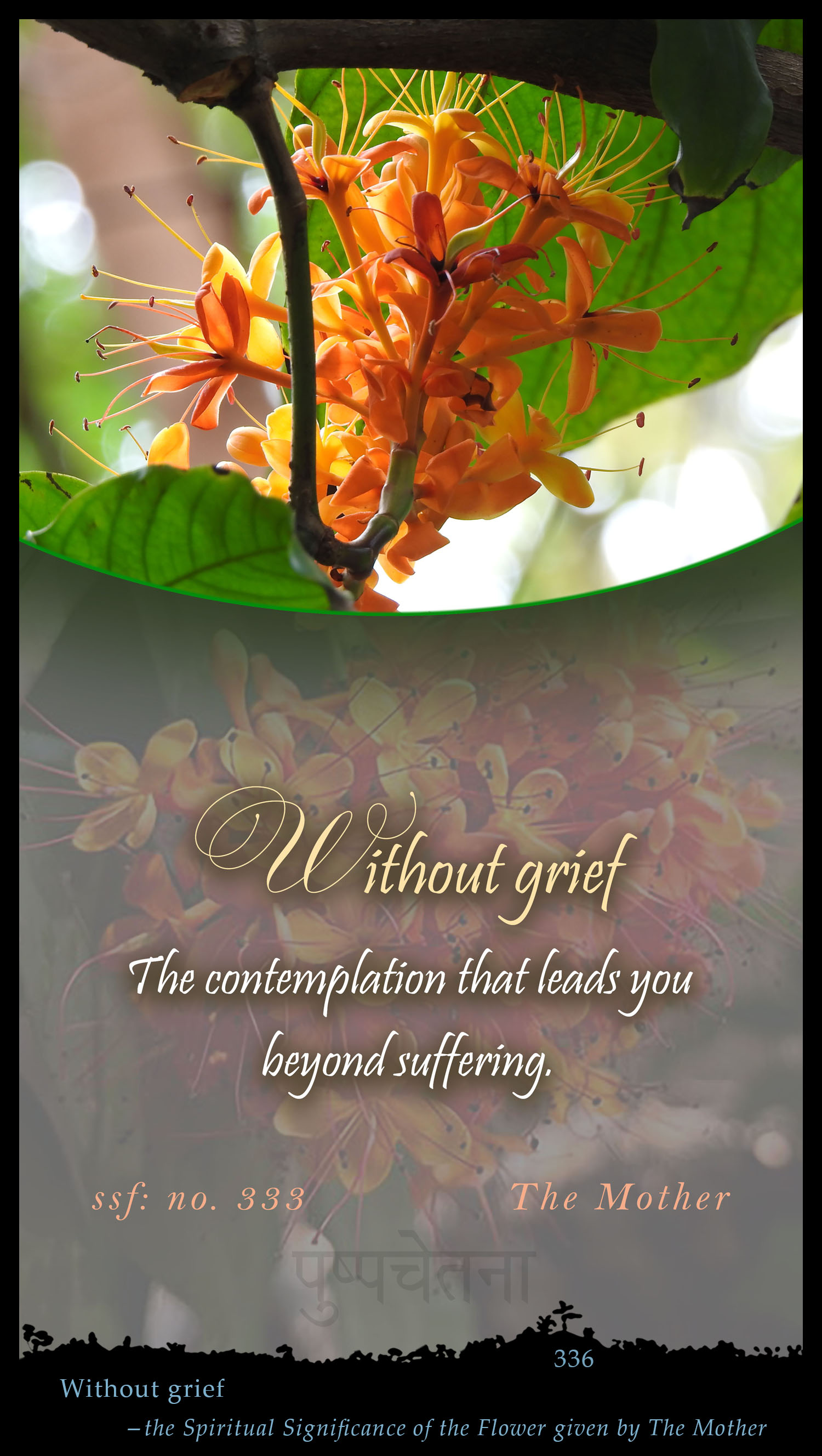 Without Grief